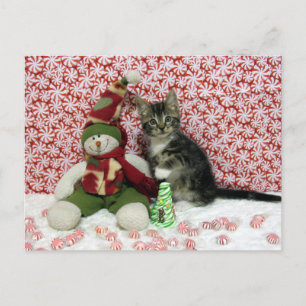 Cartão Postal De Festividades Bandit e Snowman - Cat / Kitten Natal