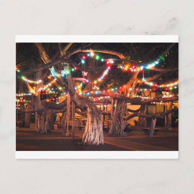 Cartão Postal De Festividades Banyan Tree with Holiday Lights (Frente)