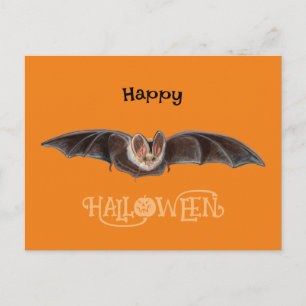 Cartão Postal De Festividades Bat Pipistrellus Illustration Happy Halloween
