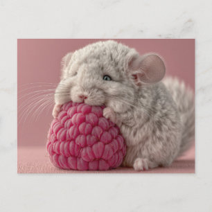 Cartão Postal De Festividades Bebê Chinchila Adorável Abraçando uma Framboesa Gi