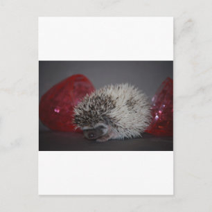 Cartão Postal De Festividades Bebê de porco com ovo de Páscoa