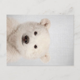 Cartão Postal De Festividades Bebê Polar Bear Colorida