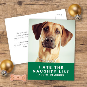 Cartão Postal De Festividades Bela e Engraçada Lista travessa Pet Foto de Natal