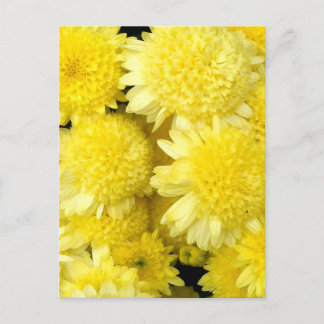 Cartão Postal De Festividades Beleza das Flores de Dália Amarela