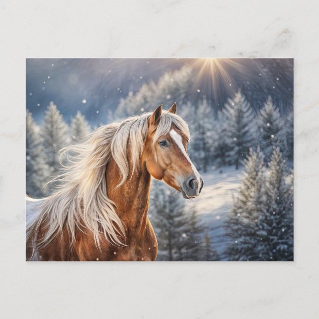 Cartão Postal De Festividades Belo Cavalo no Cartão de Natal da Neve (Frente)
