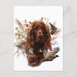 Cartão Postal De Festividades Belo Red Setter Irlandês