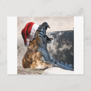 Cartão Postal De Festividades Bengala Tiger com um Chapéu Santa