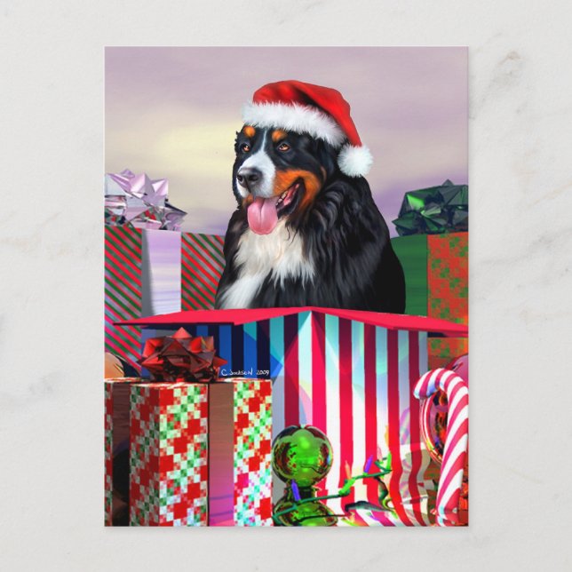 Cartão Postal De Festividades Bernese Mountain Dog Surpresa de Natal (Frente)