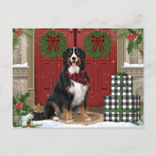 Cartão Postal De Festividades Bernese Mountain Dog Xadrez Natal