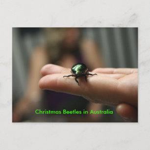 Cartão Postal De Festividades Besouro do Natal