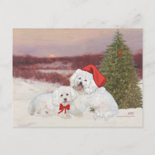 Cartão Postal De Festividades Bichon Frise Natal