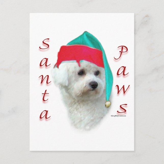 Cartão Postal De Festividades Bichon Frise Papais noeis Paws (Frente)