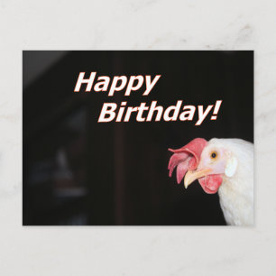 Cartão Postal De Festividades Birthday Hen