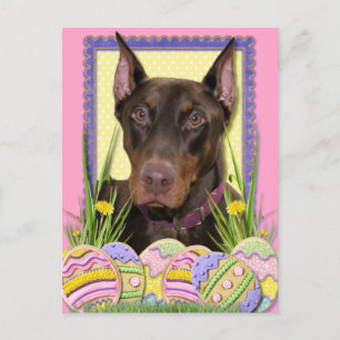 Cartão Postal De Festividades Biscoitos do ovo da páscoa - Doberman
