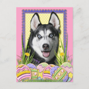 Cartão Postal De Festividades Biscoitos do ovo da páscoa - rouco Siberian