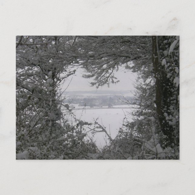 Cartão Postal De Festividades Black and White Love Snow Heart Photo Christmas (Frente)