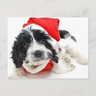 Cartão Postal De Festividades Black and white puppy wearing Santa outfit