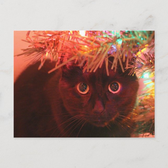 Cartão Postal De Festividades Black Cat under the Christmas Tree postcard (Frente)