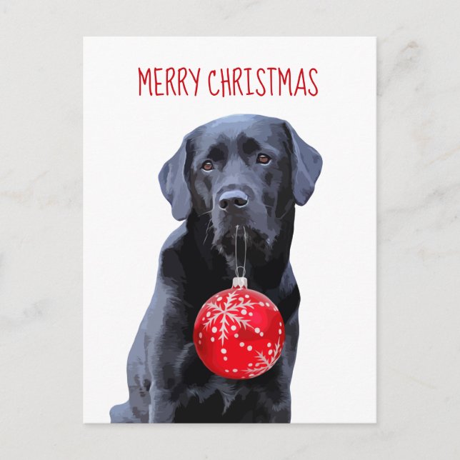 Cartão Postal De Festividades Black Lab Feliz Natal - Cachorro Labrador Bonito (Frente)