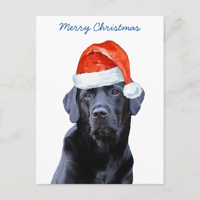 Cartão Postal De Festividades Black Lab Feliz Natal Labrador Cachorro de Papais  (Frente)