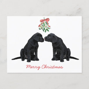 Cartão Postal De Festividades Black Labrador Mistletoe Cute Dog Puppy