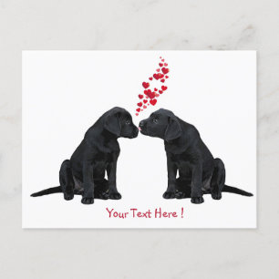 Cartão Postal De Festividades Black Labrador - Namorados Puppy Kisses
