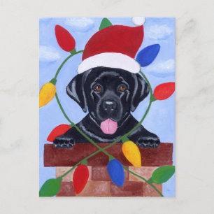 Cartão Postal De Festividades Black Labrador Puppy Natal