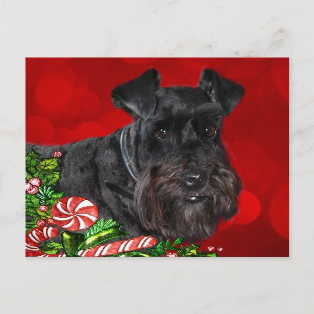 Cartão Postal De Festividades Black Schnauzer Natal (Frente)