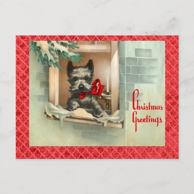 Cartão Postal De Festividades Black Scottie Dog in Window Red (Frente)
