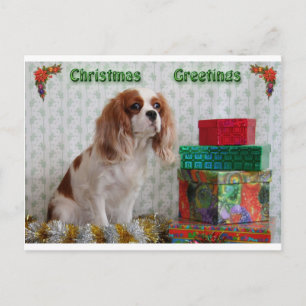 Cartão Postal De Festividades Blenheim Christmas Cavalier
