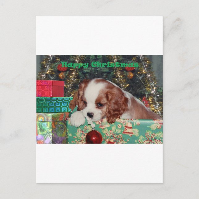 Cartão Postal De Festividades Blenheim Christmas Puppy (Frente)