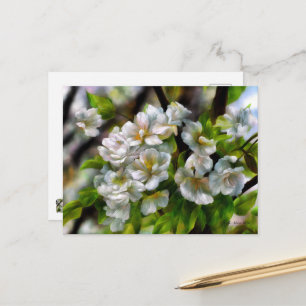 Cartão Postal De Festividades Blossomas de Maçã