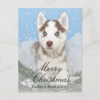 Blue eyed husky puppy sitting in snow