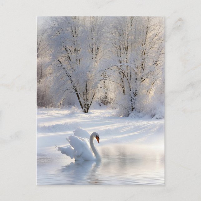 Cartão Postal De Festividades Boas-vindas natal Swan na neve (Frente)