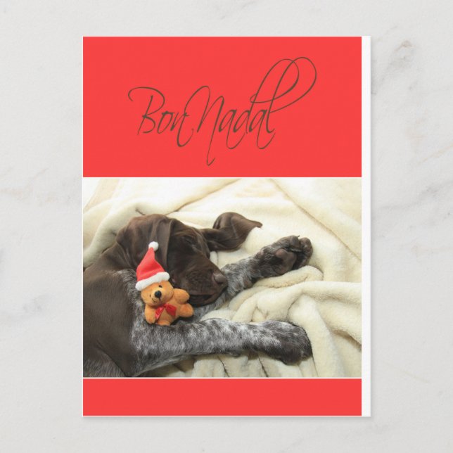 Cartão Postal De Festividades Bon Nadal de Natal Grizzly (Frente)