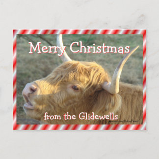 Cartão Postal De Festividades BonnieMCPostCard-customize