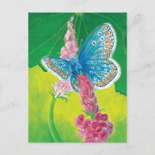Cartão Postal De Festividades Borboleta azul-da-Chapmans (Terços de Polyommatus)