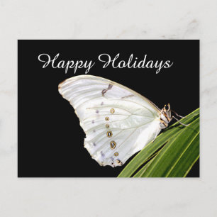 Cartão Postal De Festividades Borboleta Morpho branca na folha, Felizes Festas