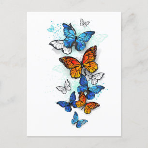Cartão Postal De Festividades Borboletas voadoras Morpho e Monarca