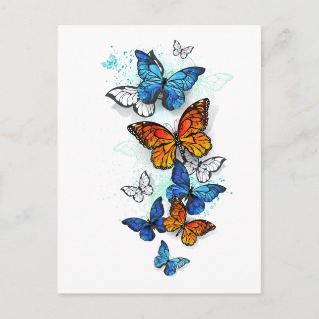 Cartão Postal De Festividades Borboletas voadoras Morpho e Monarca (Frente)