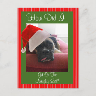 Cartão Postal De Festividades Boxer Natal