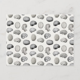 Cartão Postal De Festividades Brain Anatomy Biology Illustrations