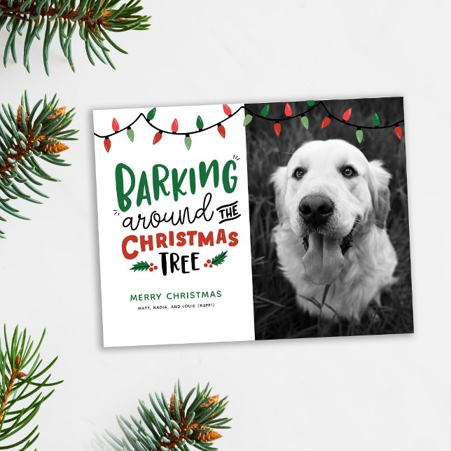 Cartão Postal De Festividades Brincando Ao Redor Do Natal Cachorro (Cute pet Christmas card. Barking around the Christmas tree photo holiday card shown with pine accent)