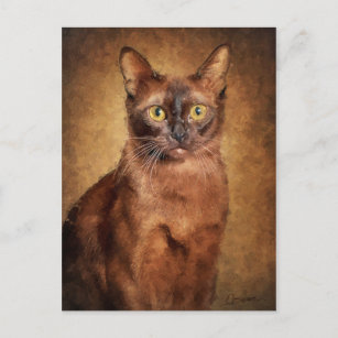 Cartão Postal De Festividades Brown Burmese Cat