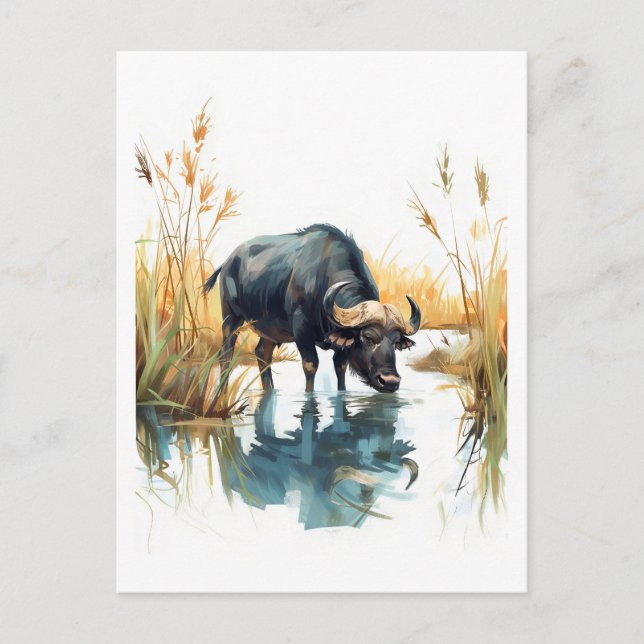 Cartão Postal De Festividades Buffalo Africano no Bordo da Água (Frente)