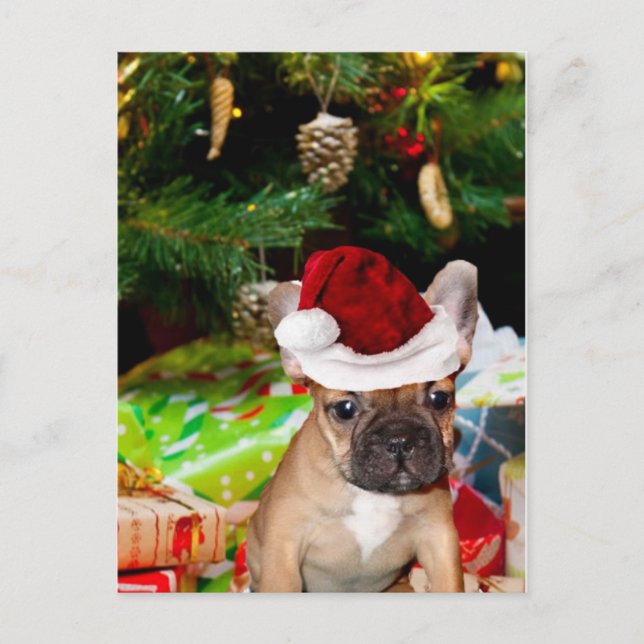 Cartão Postal De Festividades Buldogue Francês de Natal (Frente)