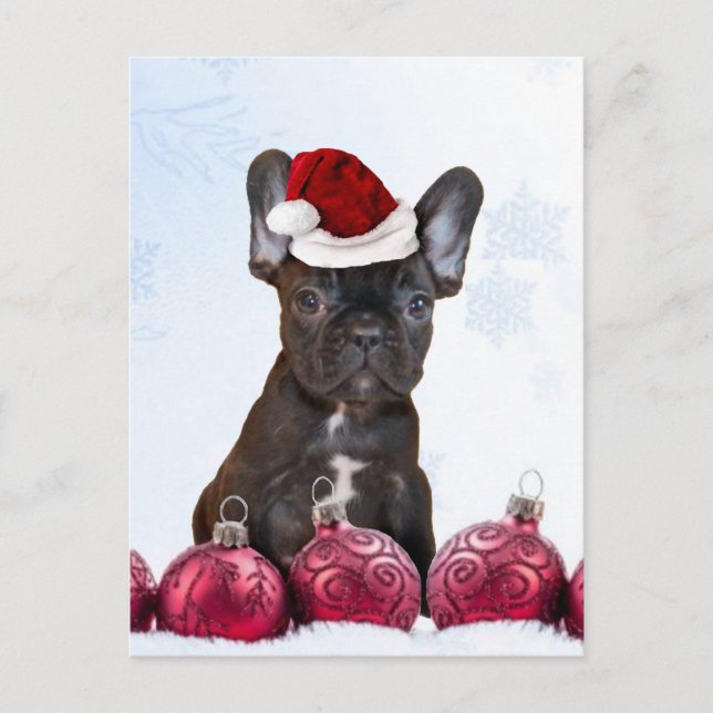 Cartão Postal De Festividades Buldogue francês do Natal (Frente)