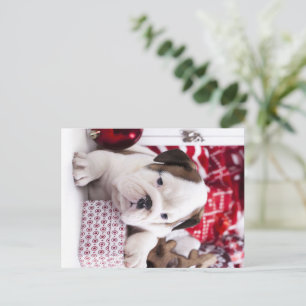 Cartão Postal De Festividades Buldogue Inglês Cachorrinho Fofo Natal Divertido