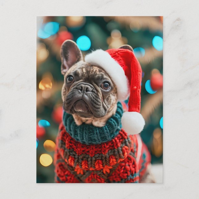 Cartão Postal De Festividades Bulldogue Francês com Roupas de Cachorro de Tricô (Frente)