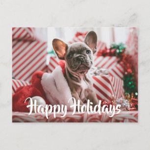 Cartão Postal De Festividades Bulldogue Francês de Natal entre presentes de Nata